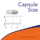 L-Phenylalanine 500 mg Veg Capsules