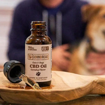 Cornbread Cats & Dogs CBD Oil (Corndog Flavor)