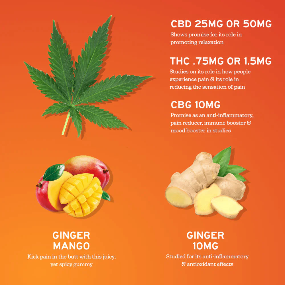 Relief CBD+CBG Gummies Ginger mango 60 Count