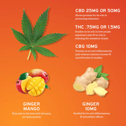 Relief CBD+CBG Gummies Ginger mango 60 Count