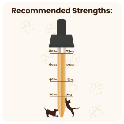 Cornbread Cats & Dogs CBD Oil (Corndog Flavor)
