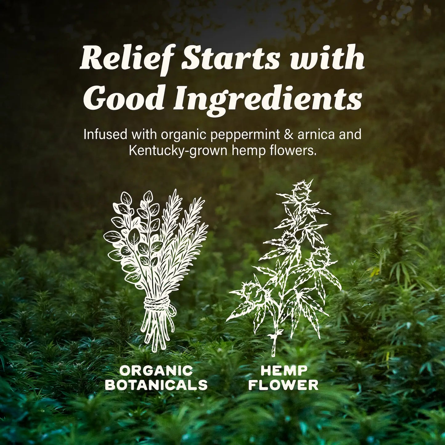 Cornbread Hemp CBD Lotion Skin Formula 25 to 1