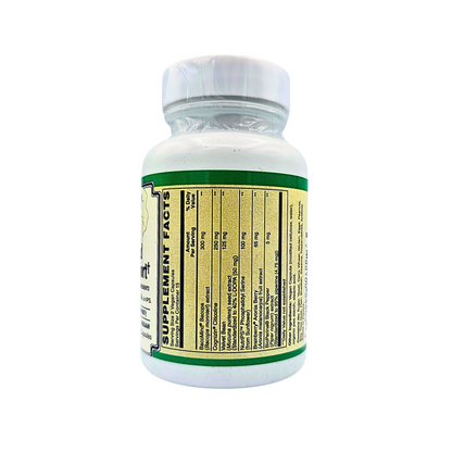 Advanced Brain Support - Memory, Focus, & Cognition Support